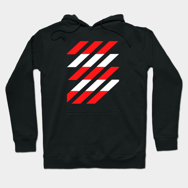 Vertical striped hoodie hot sale